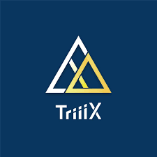 Triiix — Dato' Fam Chee Way business portfolio